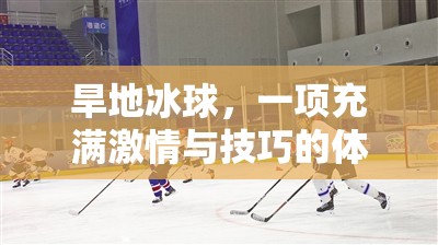旱地冰球，激情與技巧并存的體育游戲教案指南