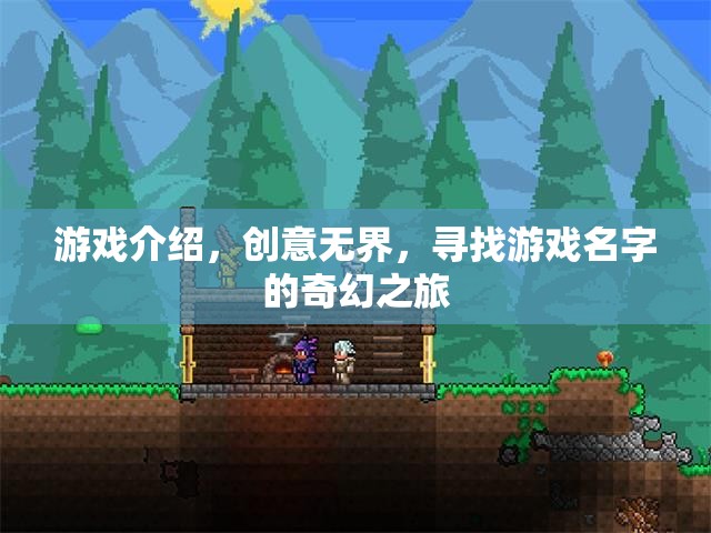 游戲介紹，創(chuàng)意無界，尋找游戲名字的奇幻之旅