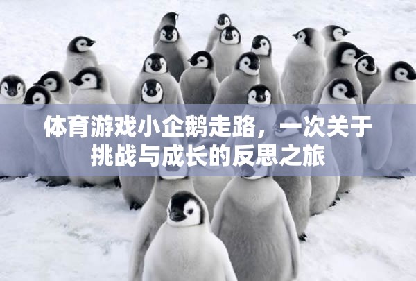 小企鵝的行走挑戰(zhàn)，一場關(guān)于勇氣與成長的體育游戲反思之旅