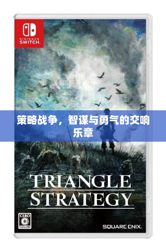 策略戰(zhàn)爭(zhēng)，智謀與勇氣的交響樂(lè)章