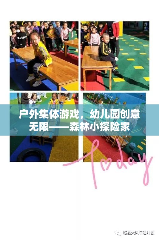 幼兒園戶外集體游戲，森林小探險(xiǎn)家的創(chuàng)意之旅