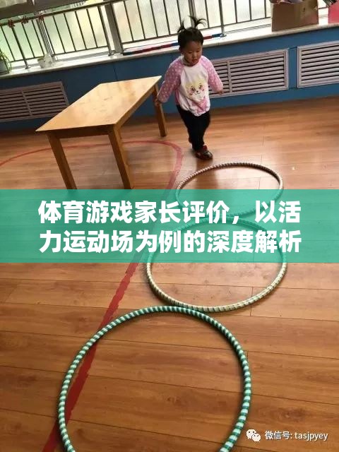 活力運(yùn)動(dòng)場(chǎng)，家長(zhǎng)視角下的體育游戲深度解析與評(píng)價(jià)