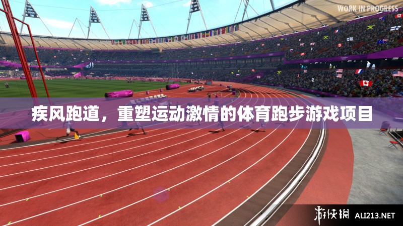 疾風(fēng)跑道，重塑運動激情的體育跑步游戲項目
