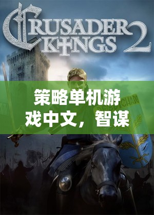 智謀與策略的深度探索，帝國風云——中文策略單機游戲的魅力
