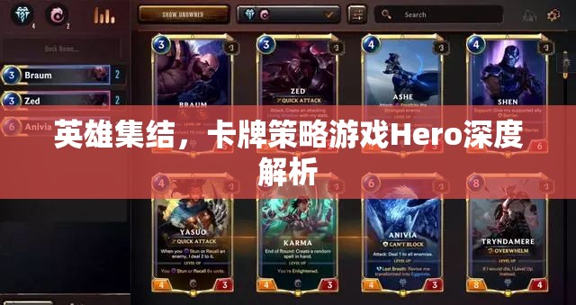 英雄集結(jié)，深度解析卡牌策略游戲Hero