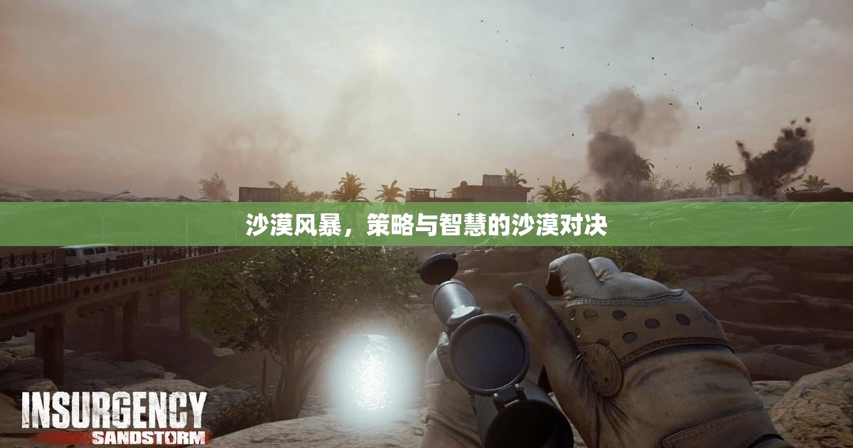 沙漠風(fēng)暴，策略與智慧的沙漠對決