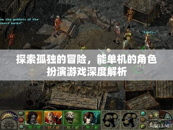 孤獨(dú)之旅，深度解析單機(jī)會(huì)話角色扮演游戲的魅力