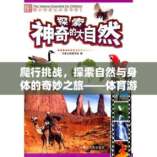 探索自然與身體的奇妙之旅，爬行挑戰(zhàn)體育游戲教案