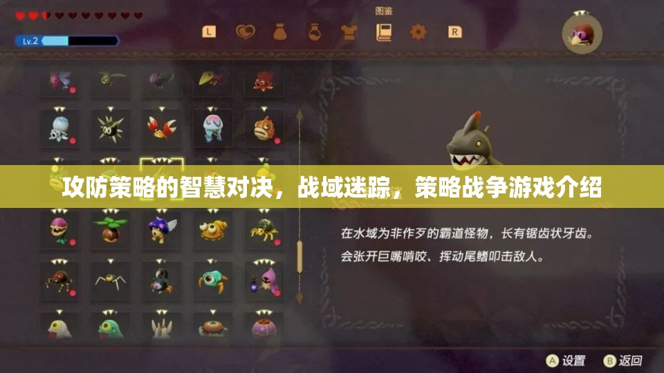 戰(zhàn)域迷蹤，攻防策略的智慧對決——策略戰(zhàn)爭游戲深度解析
