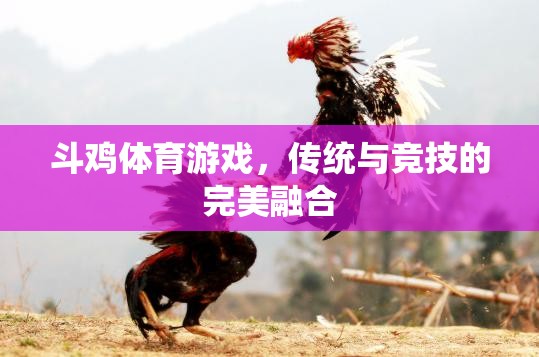 傳統(tǒng)與競(jìng)技的碰撞，斗雞體育游戲的魅力  第1張