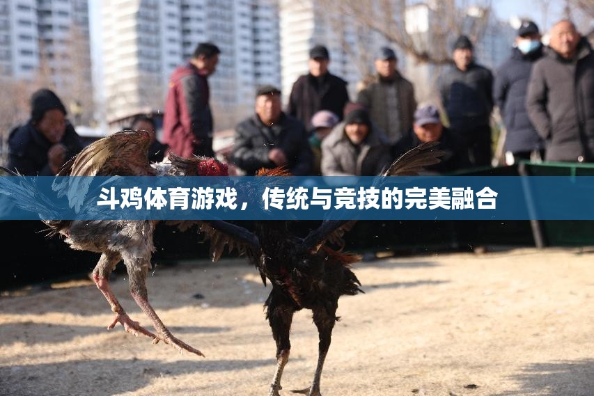 傳統(tǒng)與競(jìng)技的碰撞，斗雞體育游戲的魅力  第2張