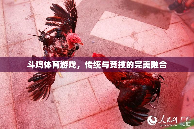 傳統(tǒng)與競(jìng)技的碰撞，斗雞體育游戲的魅力  第3張