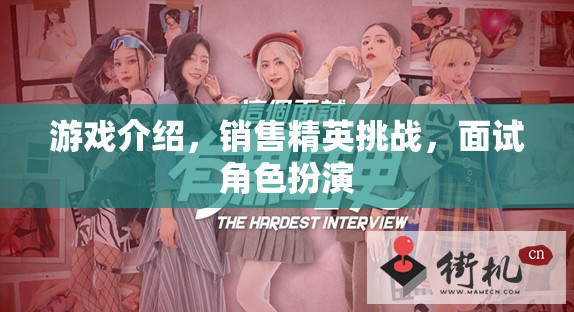 銷售精英挑戰(zhàn)，游戲化面試的角色扮演策略  第3張
