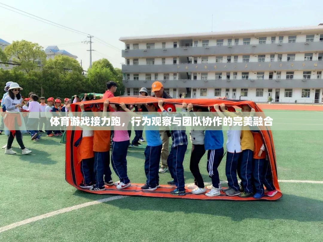 接力跑中的行為觀察與團隊協(xié)作，體育游戲中的完美融合  第2張