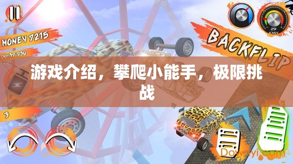 極限挑戰(zhàn)，攀爬小能手的驚險(xiǎn)之旅