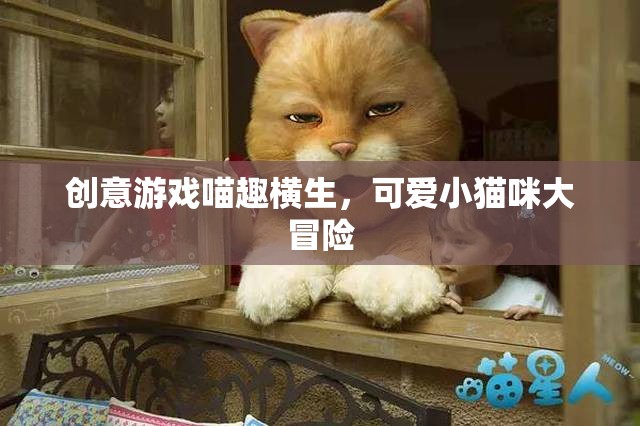 喵趣橫生，小貓咪的創(chuàng)意大冒險