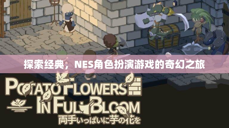 探索經(jīng)典，NES角色扮演游戲的奇幻之旅