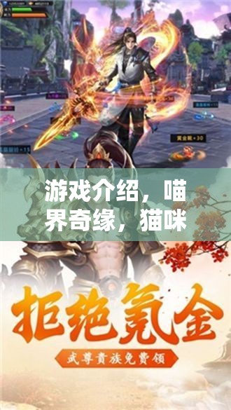 喵界奇緣，貓咪角色扮演的夢幻拍著之旅