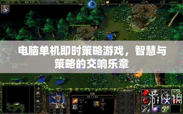 智慧與策略的交響樂章，電腦單機即時策略游戲