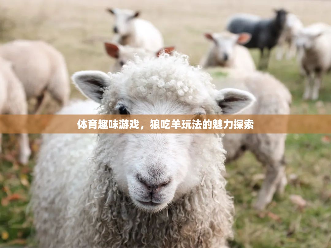 狼吃羊，探索體育趣味游戲中的魅力與樂趣
