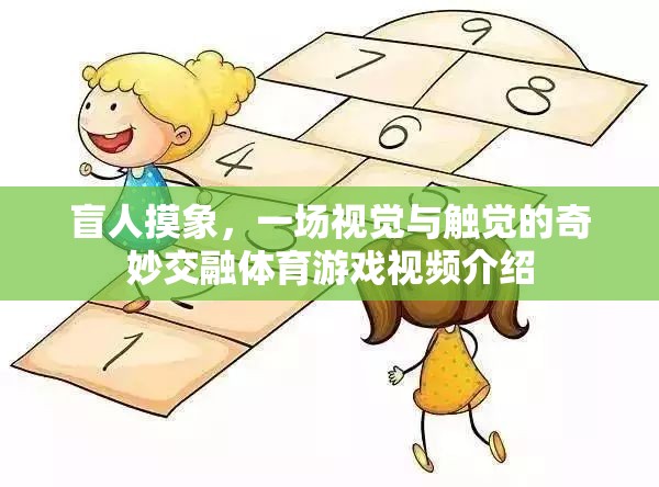 盲人摸象，視覺與觸覺的奇妙交融——一場獨特的體育游戲視頻揭秘