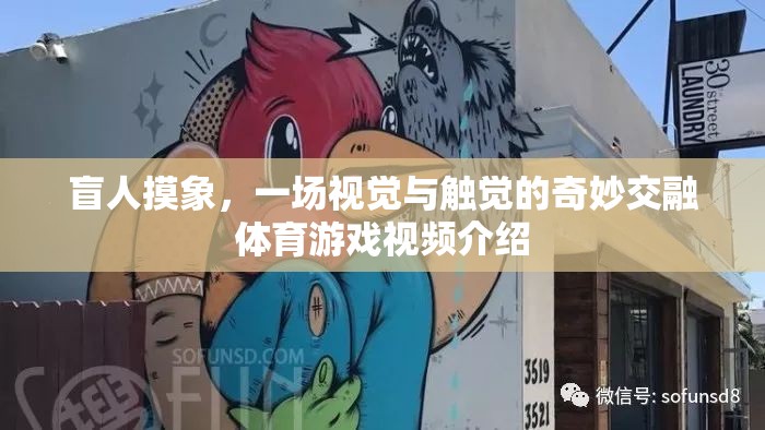 盲人摸象，視覺與觸覺的奇妙交融——一場獨特的體育游戲視頻揭秘