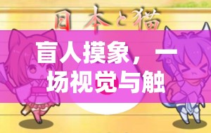 盲人摸象，視覺與觸覺的奇妙交融——一場獨特的體育游戲視頻揭秘