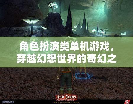 穿越幻想世界的奇幻之旅，角色扮演類單機(jī)游戲