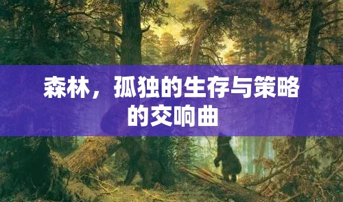 森林，孤獨(dú)生存與策略的交響曲  第1張