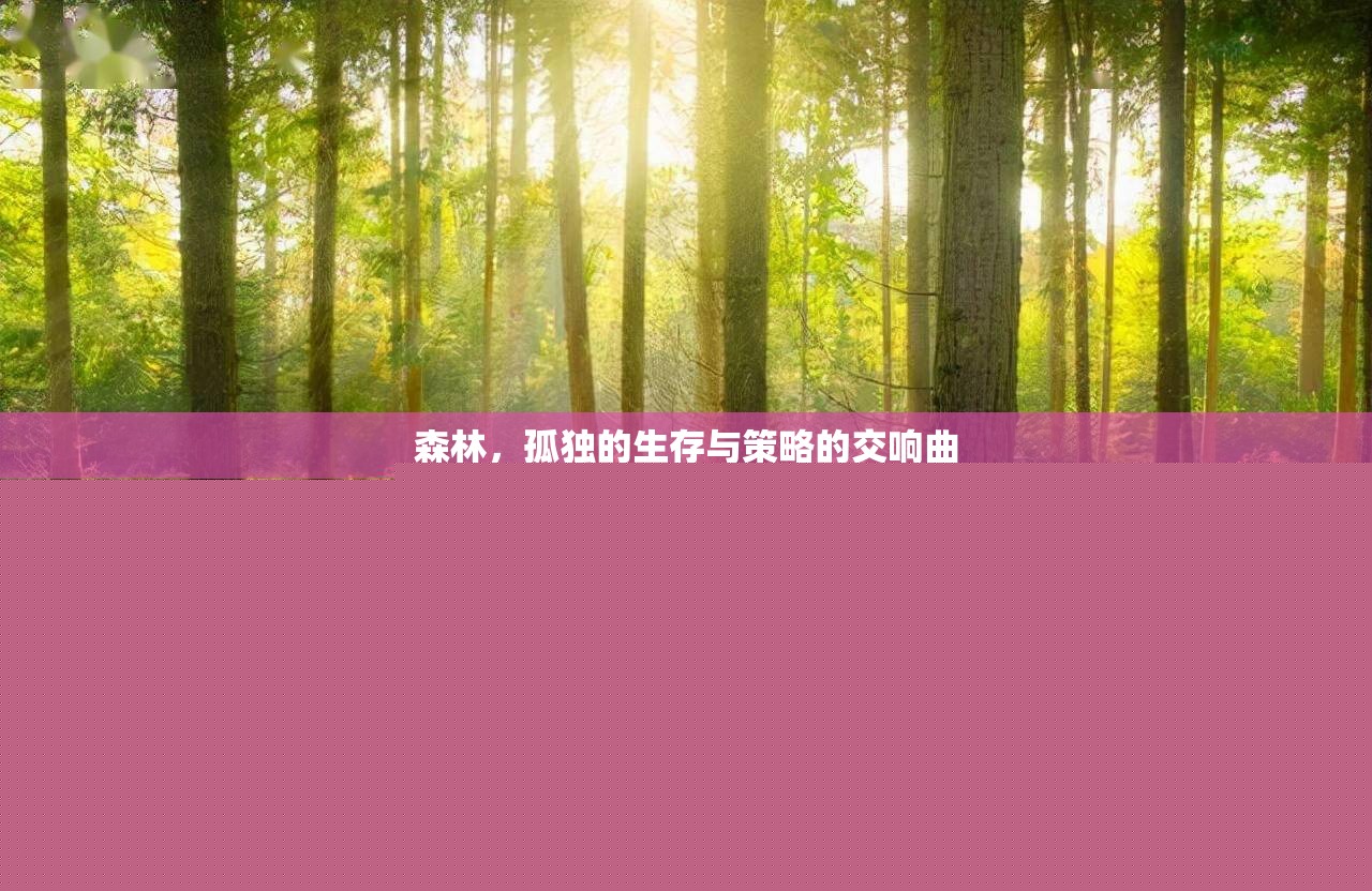 森林，孤獨(dú)生存與策略的交響曲  第3張