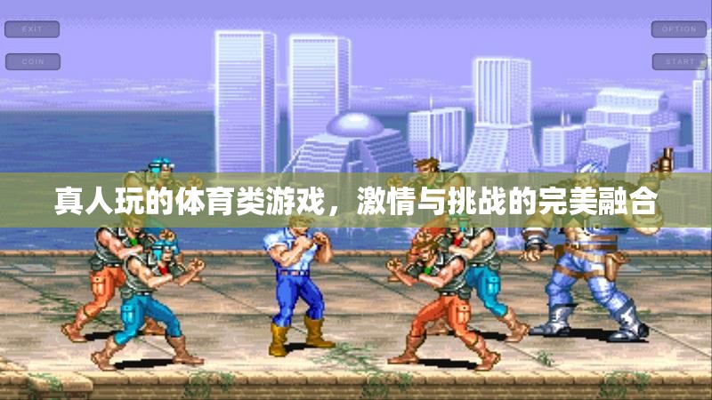 激情與挑戰(zhàn)，真人體育游戲的完美融合