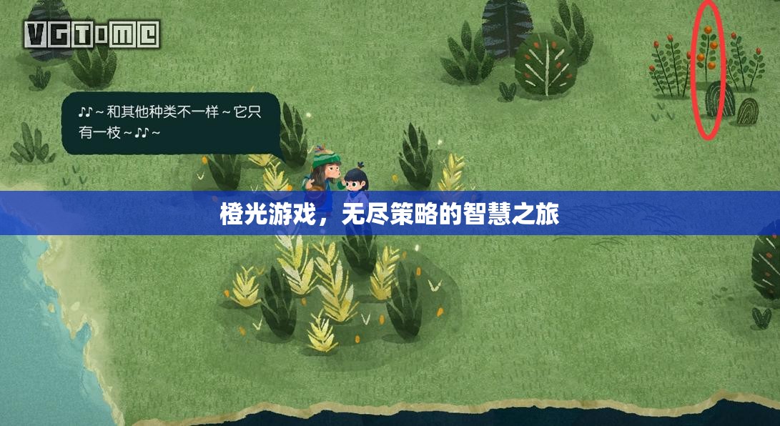 橙光游戲，智慧之旅的無盡策略