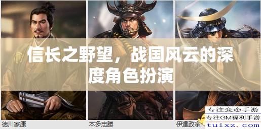 信長(zhǎng)之野望，戰(zhàn)國(guó)風(fēng)云的深度角色扮演