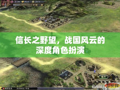信長(zhǎng)之野望，戰(zhàn)國(guó)風(fēng)云的深度角色扮演