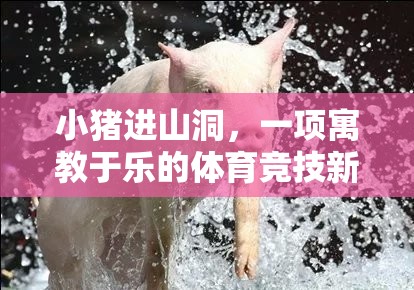 小豬進山洞，寓教于樂的體育競技新體驗