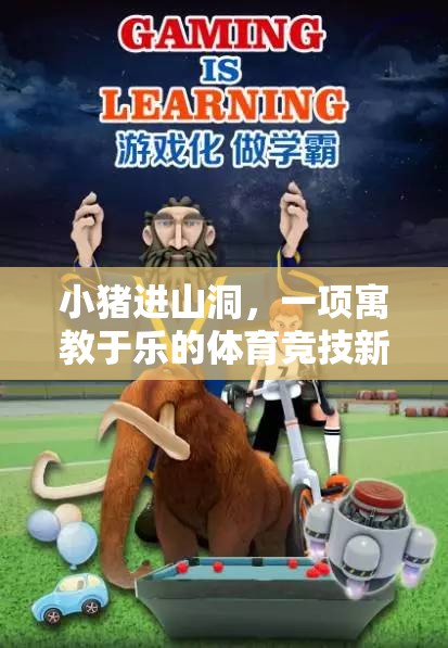 小豬進山洞，寓教于樂的體育競技新體驗