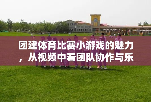 視頻揭秘，團建體育比賽小游戲的團隊協(xié)作與樂趣完美融合