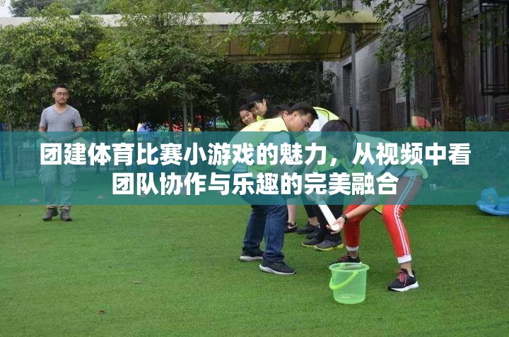 視頻揭秘，團建體育比賽小游戲的團隊協(xié)作與樂趣完美融合