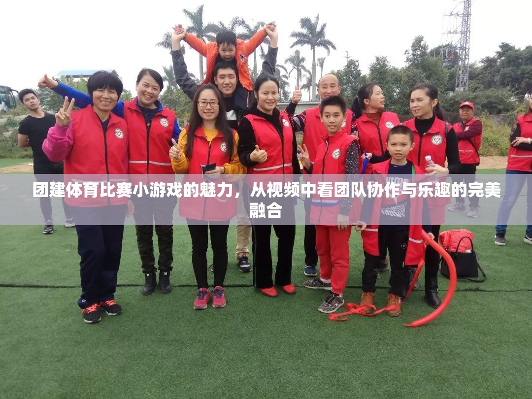 視頻揭秘，團建體育比賽小游戲的團隊協(xié)作與樂趣完美融合