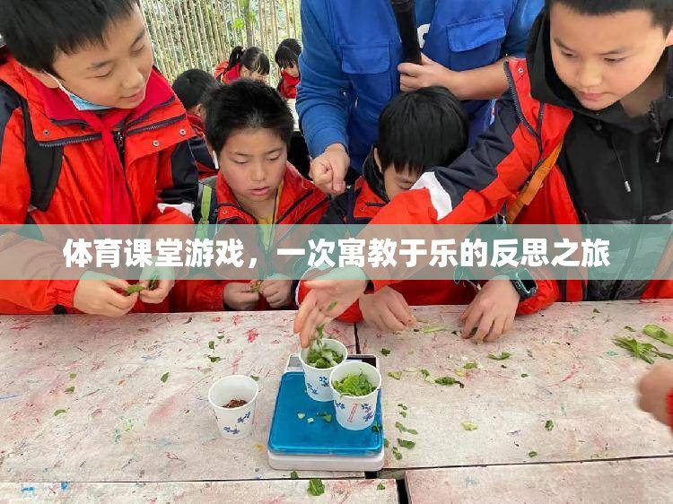 寓教于樂(lè)，體育課堂游戲的一次反思之旅