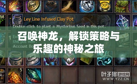召喚神龍，解鎖策略與樂(lè)趣的神秘冒險(xiǎn)之旅