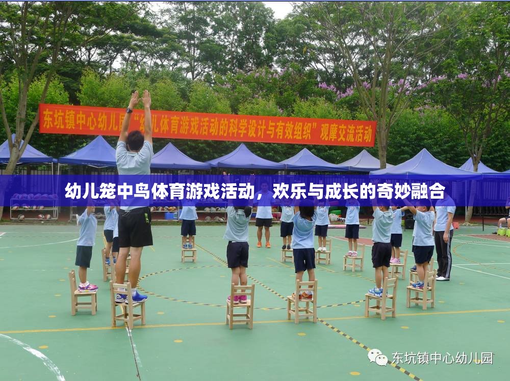 籠中鳥體育游戲，歡樂與成長的奇妙融合