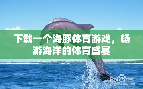 海豚體育游戲，暢游海洋的體育盛宴  第1張