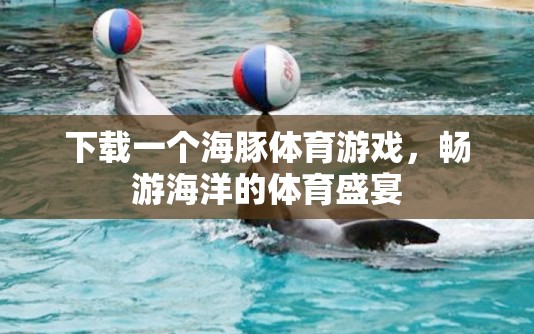海豚體育游戲，暢游海洋的體育盛宴  第2張