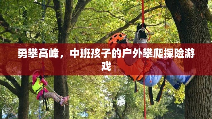 勇攀高峰，中班孩子的戶外攀爬探險游戲