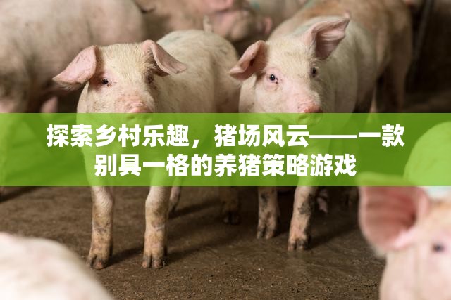 鄉(xiāng)村豬場風云，別具一格的養(yǎng)豬策略游戲