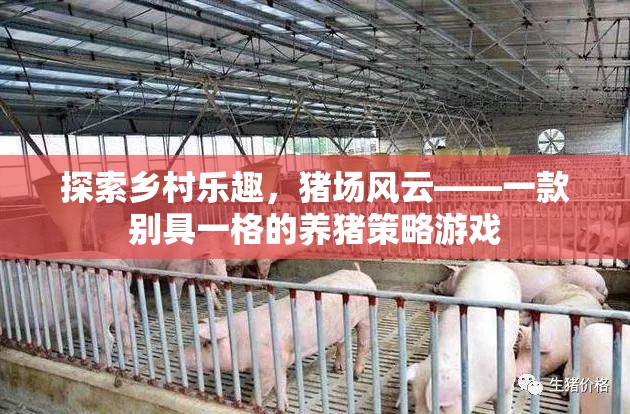 鄉(xiāng)村豬場風云，別具一格的養(yǎng)豬策略游戲