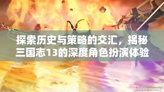 三國(guó)志13，歷史與策略的深度交匯，揭秘角色扮演的獨(dú)特體驗(yàn)