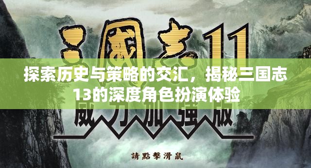 三國(guó)志13，歷史與策略的深度交匯，揭秘角色扮演的獨(dú)特體驗(yàn)
