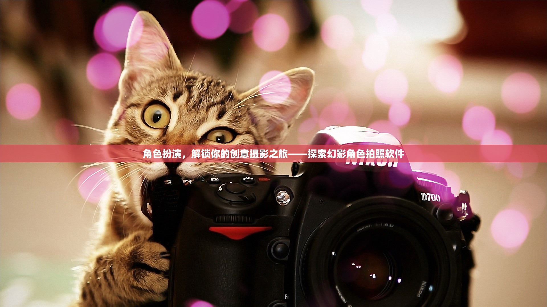 角色扮演，解鎖你的創(chuàng)意攝影之旅——探索幻影角色拍照軟件